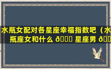 水瓶女配对各星座幸福指数吧（水瓶座女和什么 🐕 星座男 🌾 最配做夫妻）